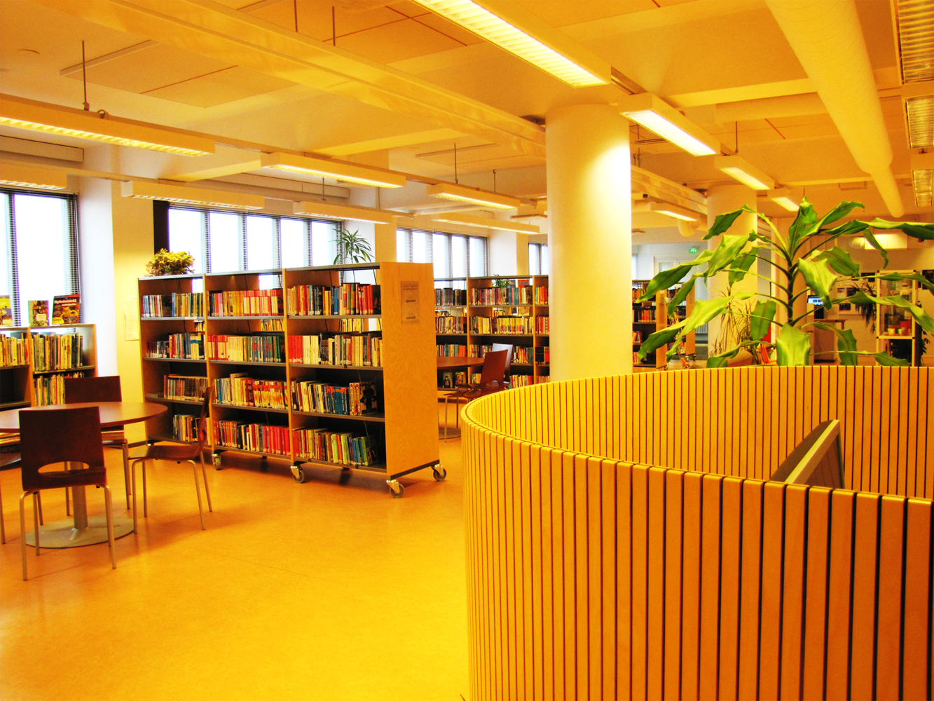 Linnavuori Library