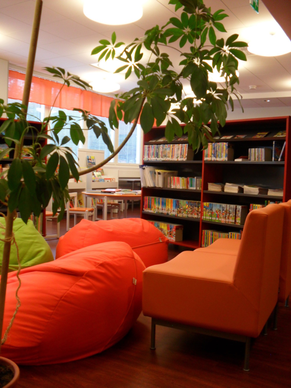 Haapamäen kirjasto